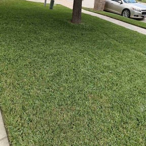 turf maintenance by Goodfellas reviewed on August 15, 2025