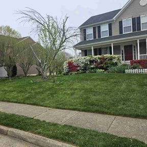 residential landscaping by LAWN CARE AND DELIVERY SERVICES LLC reviewed on August 21, 2025