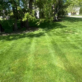 residential landscaping by Young&#039;s Lawn Care Services reviewed on September 10, 2023