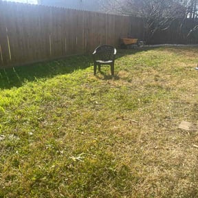 Leaf Removal by Salt City Snow &amp; Lawn, LLC. reviewed on May 8, 2026
