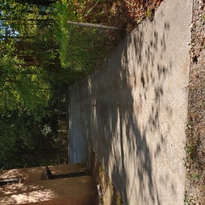 Bush Trimming by Leo&#039;s Lawn Care LLC reviewed on October 24, 2024