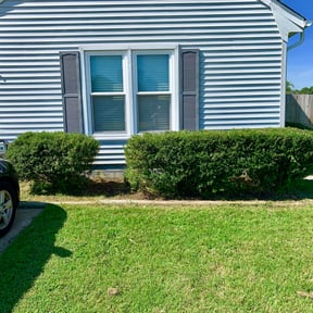 Bush Trimming by MCL All Around Services, LLC reviewed on August 18, 2025