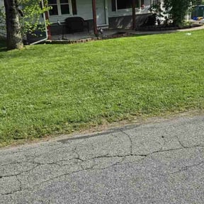 turf maintenance by Jeremy's lawn service reviewed on April 14, 2024