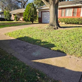 Leaf Removal by Montes Landscaping LLC reviewed on March 12, 2026