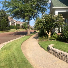 landscape maintenance by Top Turf L.L.C reviewed on August 19, 2025
