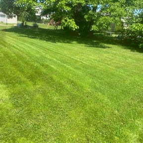landscape maintenance by Sunnyside Lawn care reviewed on August 17, 2025
