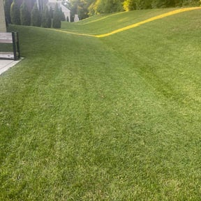 lawn maintenance by Lawn &Order reviewed on August 16, 2025