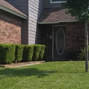 Bush Trimming by MOG & Landscaping reviewed on August 17, 2025