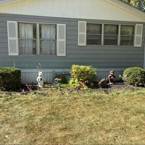 Bush Trimming by jd landscaping reviewed on November 19, 2023