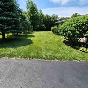 landscaping services by Yanez Brothers Landscaping reviewed on November 24, 2025