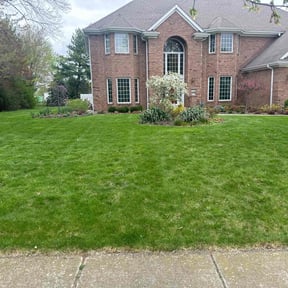 landscaping by Blessed Lawn Care Services & Odd Jobs reviewed on August 18, 2025