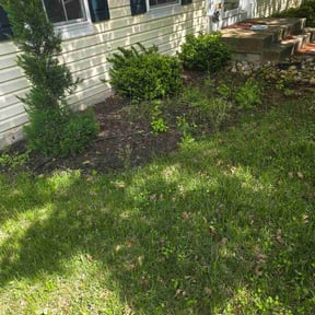Flower Bed Weeding by A Better Lawncare reviewed on April 21, 2026