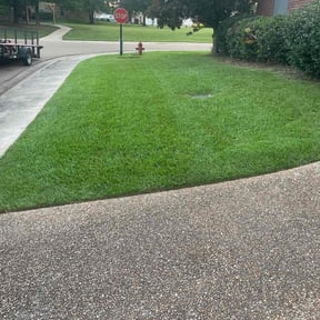 gardening service by Verns Lawncare LLC reviewed on December 24, 2025