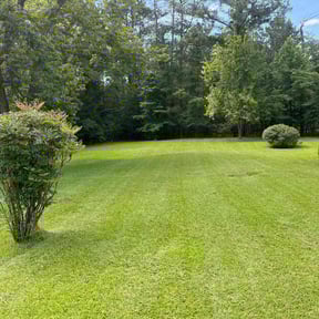 lawn care services by Empire Lawn Care & Tree Trimming reviewed on August 20, 2025