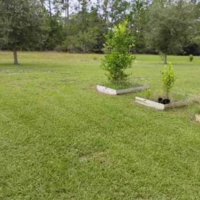 lawn care by Uppercuts Lawn Care reviewed on March 29, 2024