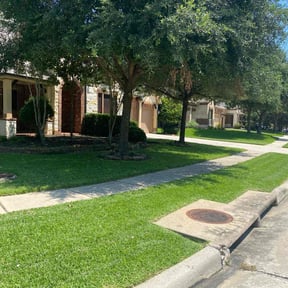 yard care by Omar Norris reviewed on August 17, 2025