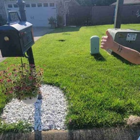 yard care by T&W LANDSCAPE EXPERTS LLC reviewed on August 19, 2025