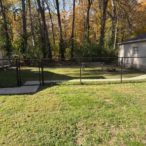 Leaf Removal by B&amp;C Lawn and Landscaping LLC reviewed on November 5, 2025