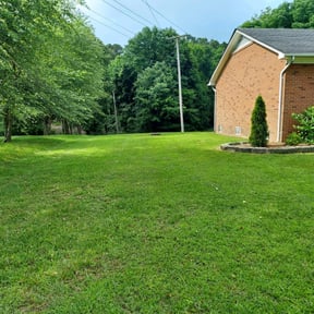 yard service by Green lawn's reviewed on August 18, 2025