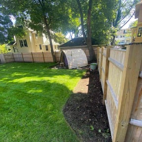 landscaping services by Binyard Consulting reviewed on January 8, 2026