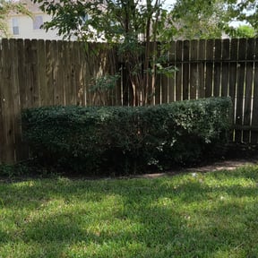 Bush Trimming by Chad&#039;s Mowing Service reviewed on November 19, 2025