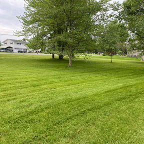 lawn maintenance by Amaya Landscaping reviewed on May 7, 2024