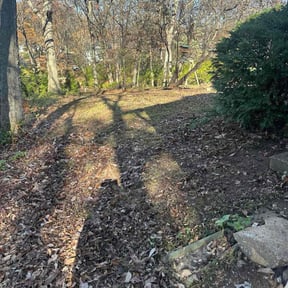 Bush Trimming by CL Lawn &amp; Landscape LLC reviewed on November 18, 2025