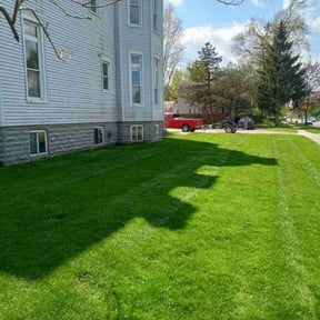 turf maintenance by C&G lawncare reviewed on April 24, 2025