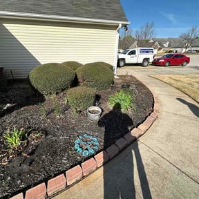 Bush Trimming by Speedy lawn care and junk be gone reviewed on April 29, 2026