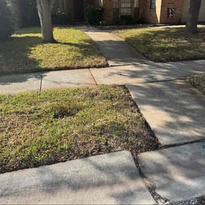 Leaf Removal by Asset Defense LLC reviewed on December 18, 2025