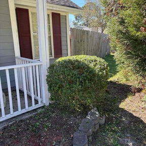 Bush Trimming by JP Lawn Service reviewed on October 22, 2025