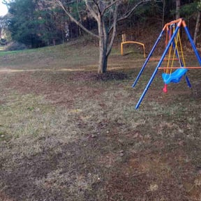 Leaf Removal by Done Right Lawn Service reviewed on August 16, 2025