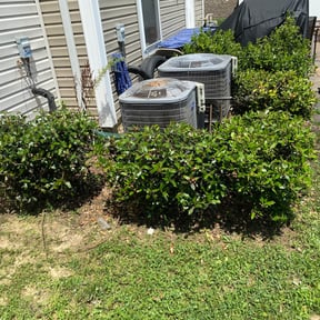 Bush Trimming by Lambs lawns reviewed on August 16, 2025