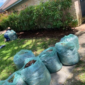 Flower Bed Weeding by E-MACULATE LAWN CARE LLC reviewed on August 20, 2025