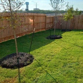 lawn care services by Belleaire Lawn Care reviewed on August 15, 2025