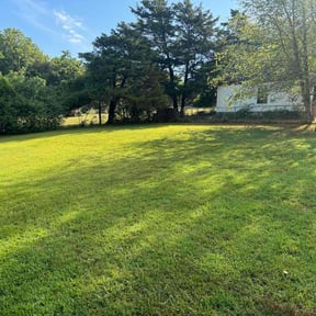 yard work by GR8GRASS LLC reviewed on August 15, 2025