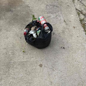 Leaf Removal by Polished detail reviewed on September 26, 2025