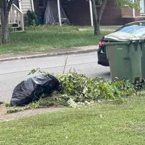 Leaf Removal by Garza Lawn Care Service. reviewed on September 24, 2025