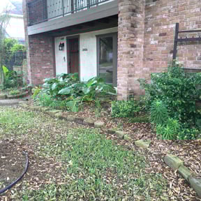 Bush Trimming by Renes handyman/landscaping reviewed on August 16, 2025