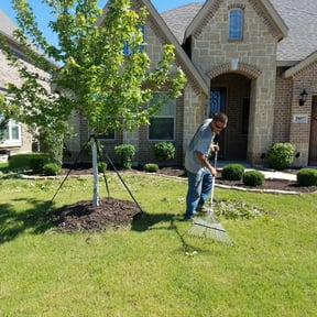 Bush Trimming by A job well done reviewed on August 21, 2025