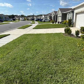 landscape maintenance by Big O Mows Landscaping reviewed on August 15, 2025