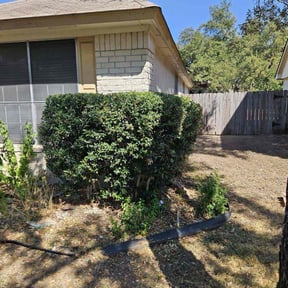 Bush Trimming by Foresight Landscape Maintenance and Design reviewed on August 17, 2025