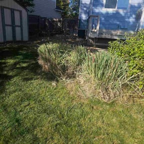 Bush Trimming by A man and his mower reviewed on March 23, 2024