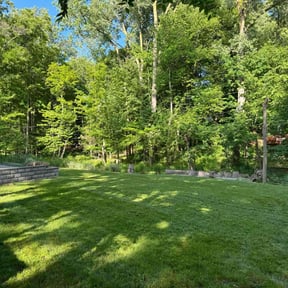 yard care by Majjik Mowing reviewed on August 20, 2025