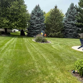 yard service by Robert Dukes Kut Pro Lawn Maintenance reviewed on August 20, 2025