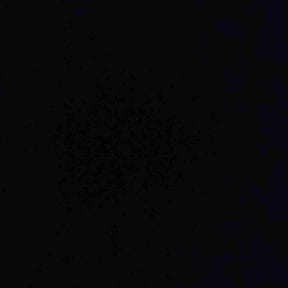 Bush Trimming by The Chosen LawnCare reviewed on November 8, 2025