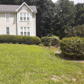Bush Trimming by Towery's Lawn Care reviewed on August 18, 2025