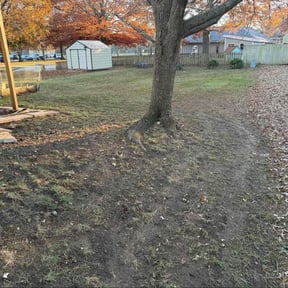 Leaf Removal by JSM Landscaping reviewed on November 22, 2025