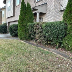 Bush Trimming by Tovar Landscaping reviewed on December 30, 2025