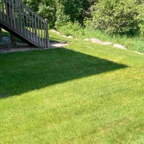 grass maintenance by Hamm&#039;s repair reviewed on September 25, 2024